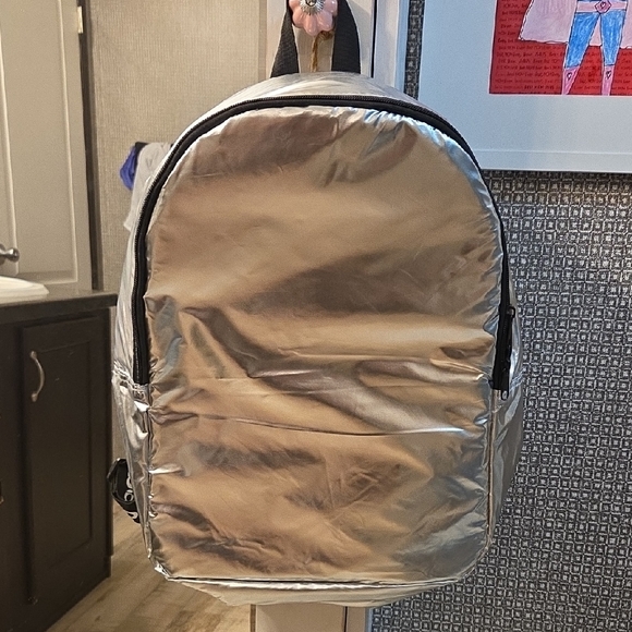 Silver Backpack for Men - Picture 1 of 4
